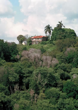 Mt Woodgee The House
