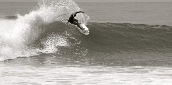 ページ・ハーブ Trestles 2014