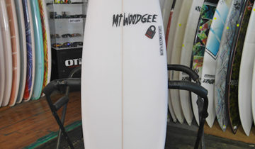 Mt Woodgee Surfboards RETORO FISH 5’9″