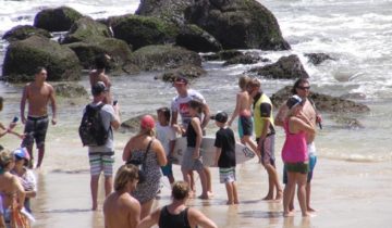 Quiksilver Pro 2013 Gold Coast 結果