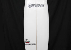 中古AARDVARK入荷！
